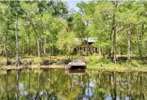 Image of Family Treehouse on The Santa Fe River