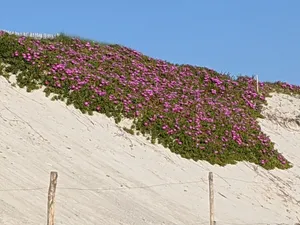 Image of Spacious neo Breton 1 km from the beach