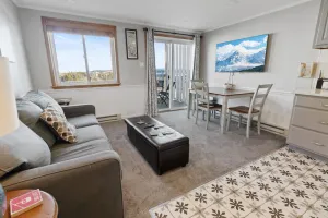 Image of ML316 Stylish Modern Breathtaking Mtn And Trail View EZ Parking