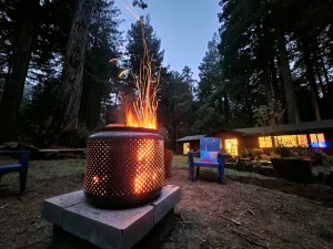 Image of Pacific Redwood Hideaway - Pristine forest, luxurious, private and pet friendly