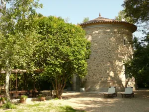 Image of Romantic 19th Century Tower + ( Summer Annexe ) In Own 1 Acre Near The Sea