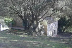 Image of Charming traditional home in the quiet groves. 10 minutes from beaches