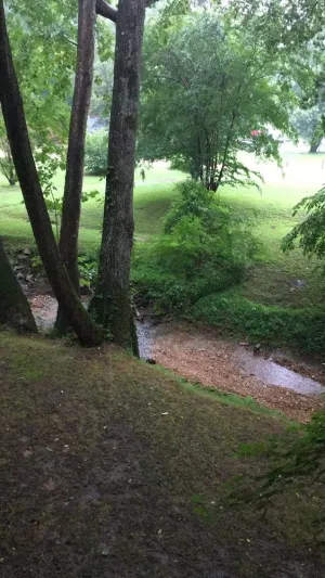 Image of Yogi Bears Cozy Cabin on the Branch at Up The Creek