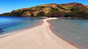 Image of Snorkeling with sharks (homestay)