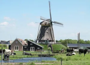 Image of Beautiful, country style cottage near the windmill, polder and windmill view
