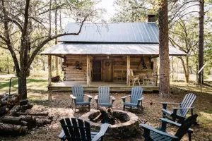 Image of The  Famous Senator Cabin
