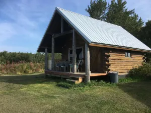 Image of WERE BACK…. CABIN AT THE BLUFF OF KENAI RIVER WITH MOUNTAIN VIEW