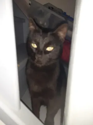 Image of Maison de Village Proche Lyon, Pérouges, Parc Industriel de la Plaine de L'ain