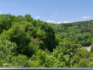 Image of Living in Kurort Waldbronn - Toskana from germany