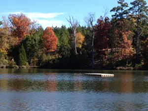 Image of Country Get Away Cabin In The East Texas Piney Woods