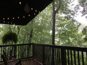 Image of Cabin at Woods Creek Lake in East Bernstadt, Ky Beautiful Wooded Views