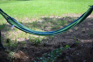 Image of Camping it is!