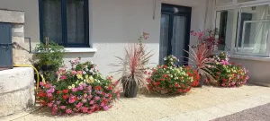 Image of Comfortable renovated family home on wooded grounds & private parking
