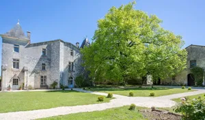 Image of Chateau De Seyres - Seven Bedroom Castle, Sleeps 15