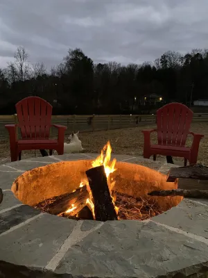 Image of WeLoveALLDogs\/FullyFencedYards\/Firepit\/Views\/2King