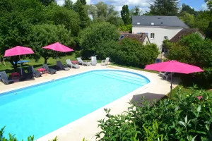 Image of Loire Valley cottage for 4\/5 with superb heated pool and carp fishing lake