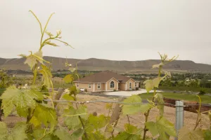 Image of Laliik Iniit North  - Red Mountain hideout among the vines.