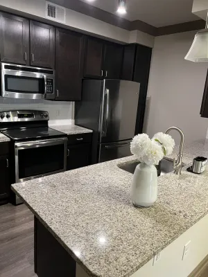 Image of Cozy 1br apartment in Energy Corridor