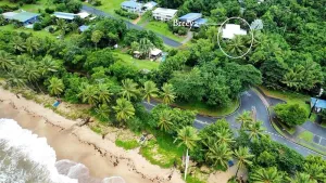 Image of Breeya - spectacular rainforset and peaceful beach