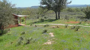 Image of Texas T Bed and Breakfast