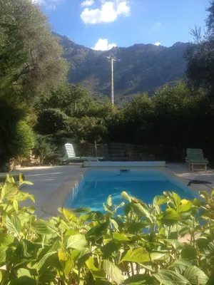 Image of Villa with swimming pool in a property planted with century-old olive trees