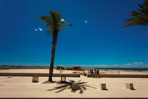 Image of Hôtel Restaurant Splendid Camargue