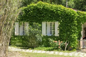 Image of Les Gîtes du Domaine de Rhodes