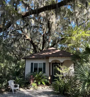 Image of Quiet, Secluded Cottage, Close to Sapelo, Birding, nature, fishing Free wi-fi!