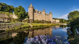Image of Gîte de tante Phonsine, le charme aux portes de la forêt de Brocéliande