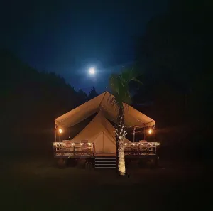 Image of Low Country Oasis