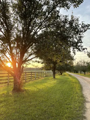Image of Easy drive to Covington square. Safe gated property.