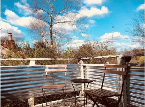 Image of Cozy-Cute-Very Safe one bedroom ￼Treetop apt in East Nashville