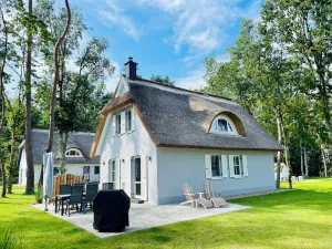 Image of Modern Eingerichtetes Reetdachhaus mit Einladender Terrasse