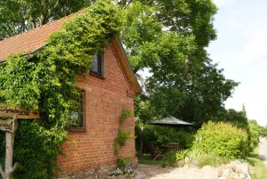 Image of Old school Groß Varchow, apartment 2