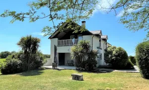 Image of Le grand chinette