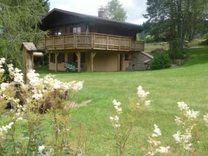 Image of 3 cozy chalets of 52 m2 located 4km from Gerardmer XONRUPT with WIFI