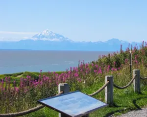 Image of 308 Bear Unit - Minutes from downtown Kenai just two blocks from the beach!