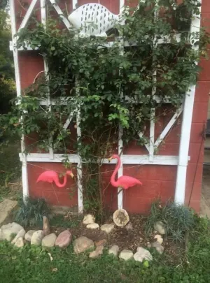 Image of Ä Hideaway