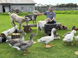 Image of A chance to get away from it all, farm life!