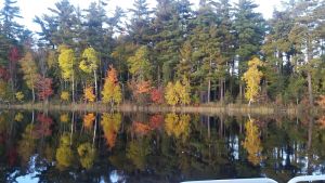 Image of Lakeside bliss and serenity in the Northwoods