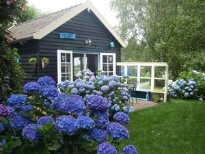 Image of Our holiday home for those seeking tranquility stands on an island surrounded by nature