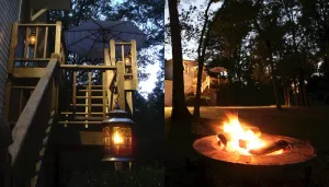 Image of 🔝❤️ PEACEFUL TREETOP COTTAGE