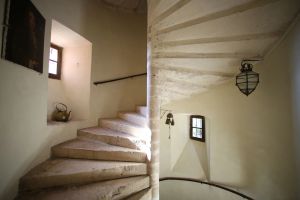 Image of Manor house and gîte in park with swimming pool Cordes sur Ciel - OCCITANIE