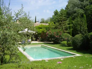 Image of Le mas des oiseaux