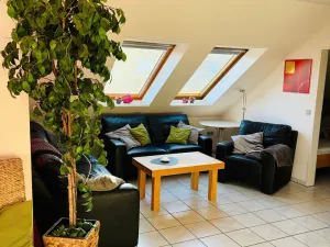 Image of Rosenhus 7