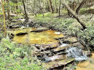 Image of Ky Creek Cabin - Dahlonega's Hidden Gem! 2 acres on Creek\/Firepit\/Awesome deck!