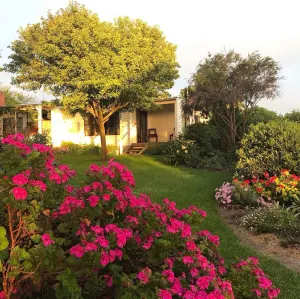 Image of Asmara @ 12 Apostles