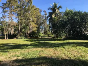 Image of PRIVATE ISLAND with 2 houses, beautiful landscape