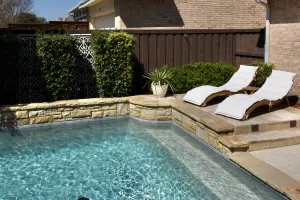 Image of Frisco Newly Renovated Oasis