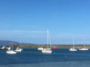 Image of Apollo Bay Hideaway 5 minute walk to the beach